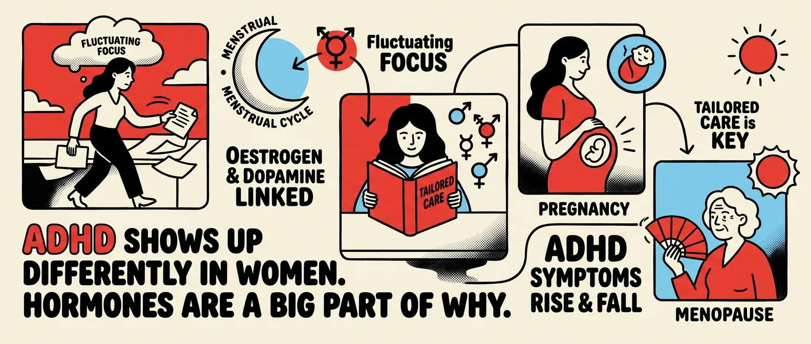 ADHD in Women: How Hormones and Oestrogen Affect Your Symptoms